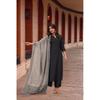 ANNI DESIGNER Women' Rayon Viscose Solid Straight Kurta with Pant & Dupatta (VARDHAN BLACKVKS0 Black Large)