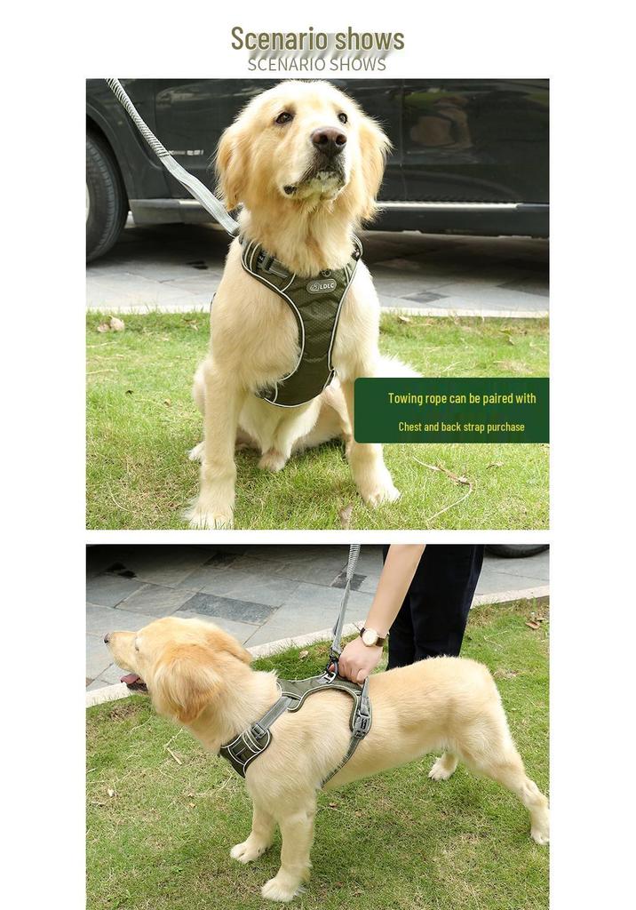 Pet Harness: Premium Nylon Anti-Shock Leash for Medium to Large Dogs