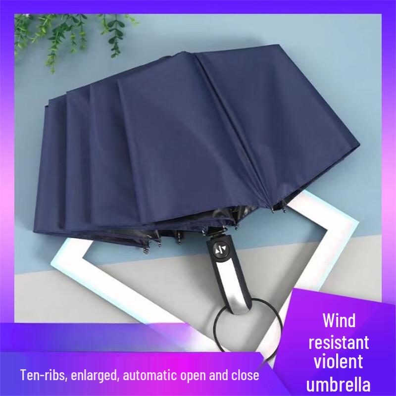 OIMG 10-Rib Full Automatic UV Protection Umbrella