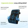 Memory Foam Lumbar Support Cushion for Car Seat And Office Chair Rebound Back Waist Rest Pad for Driver Comfort
