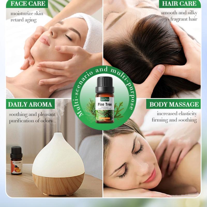 Botanischer Duft ätherisches Öl, Kiefer nährende Haut Körper Serum