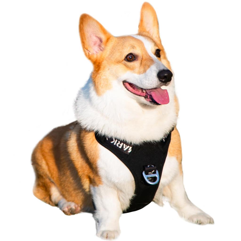 JC HOUSE Dog Harness for Medium Ultra the Easy to Put on and Take Dog Less Adjustable 3M Night Come Prevents Small Large Shiba Akita Inu Dogs,