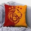 Classic GGalatasaray SSK Pattern   Home Sofa Cushion Covers and Aecorative Custom Pillow Covers