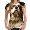 Tricouri de vară pentru femei, imprimeu vintage cu grafică de câine 3D, tricouri de sex feminin, topuri 2022 Harajuku, guler O, tricou casual supradimensionat, haine