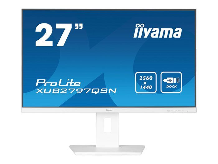 IIYAMA Nom : Iiyama G-MASTER X