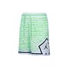 Jordan Casual Shorts Men's Mint Green DM2819-379