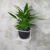 White Metal Wall Flower Stand, Flowerpot Hanger, Modern Plant Holder