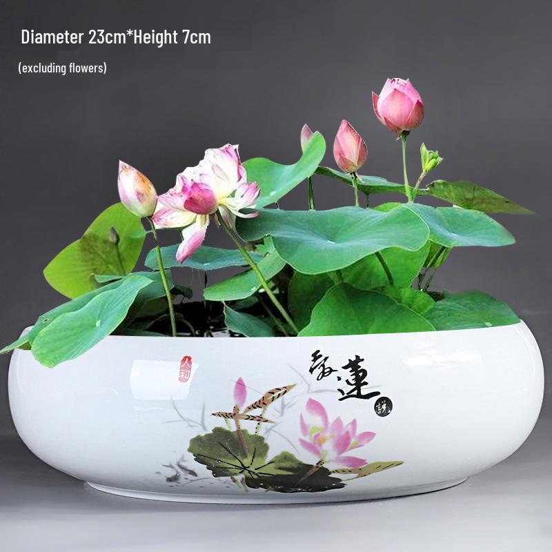 Großer Keramik-Lotus Seerose Hydroponischer Blumentopf ohne Abfluss