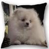 New Custom Pomeranian Dog Pillowcase Cotton Linen Fabric Square Zipper Pillowcase 45X45Cm Wedding Decorative Pillow Cover
