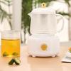 Wutuo Smart Multi-function Health Pot