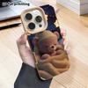 Phone Case: 2D flat lambskin suitable for iPhone 18 17 16 15 14 13 Pro film protective case, little bear, Christmas and Halloween gift