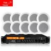 DiYou Ceiling Speaker Public Address System CN Plug (adapter Included) (CN Version)