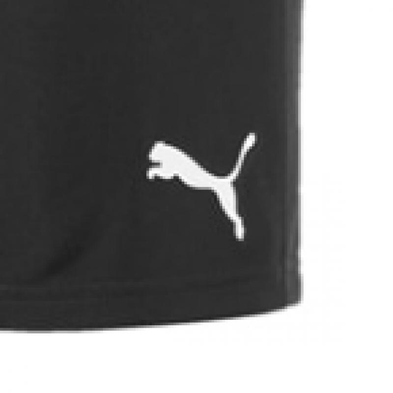 Puma Team Goal Men S SweatShirt polyeSter Training ShortS