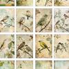 32pcs Vintage Bird Collage Postcard Series, Natural & Bird Collection, Greeting Cards, Posters, Wall Stickers, Bedroom Decor.