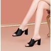 Thick Heel Cool Slippers Women's 2024 Summer New Outer Wear Versatile Soft Bottom Round Head Fish Mouth One-word Drag Women's High Heels