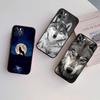 UP6 Animal Wolf Phone Case for Samsung Galaxy A11 A12 A13 A15 A52S A53 A55 A56 A70 A71 A72 A73 F06 F16 F56 S10 Plus S10e