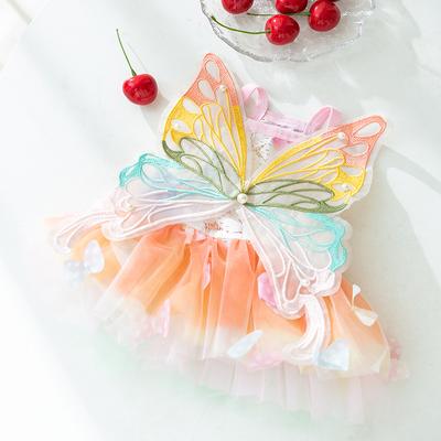 Oblečky a boty – Psí šaty