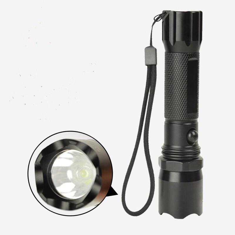 Li Shen Mini LED Outdoor Flashlight Kit