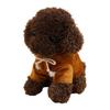 Toy Poodle Plush Toy Hoodie (Removable) 20cm, Sitting, Fluffy, Cuddly Dog, Teddy Bear Dog, Teddy Poodle, Stuffed Animal, PP Cotton, Chocolate X