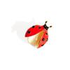 Small Cat Eye Ladybug Brooch
