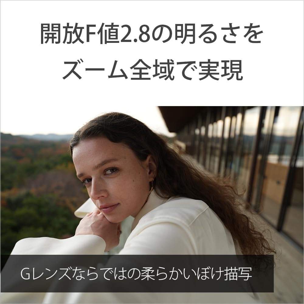 SONY (Sony) Wide Angle Zoom Lens Full Size FE 16-25 mm F2.8 G Lens Digital Single Lens Alpha [E M...
