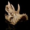 Triceratops Skull Resin Artifact Skull Personality Decoration Gift