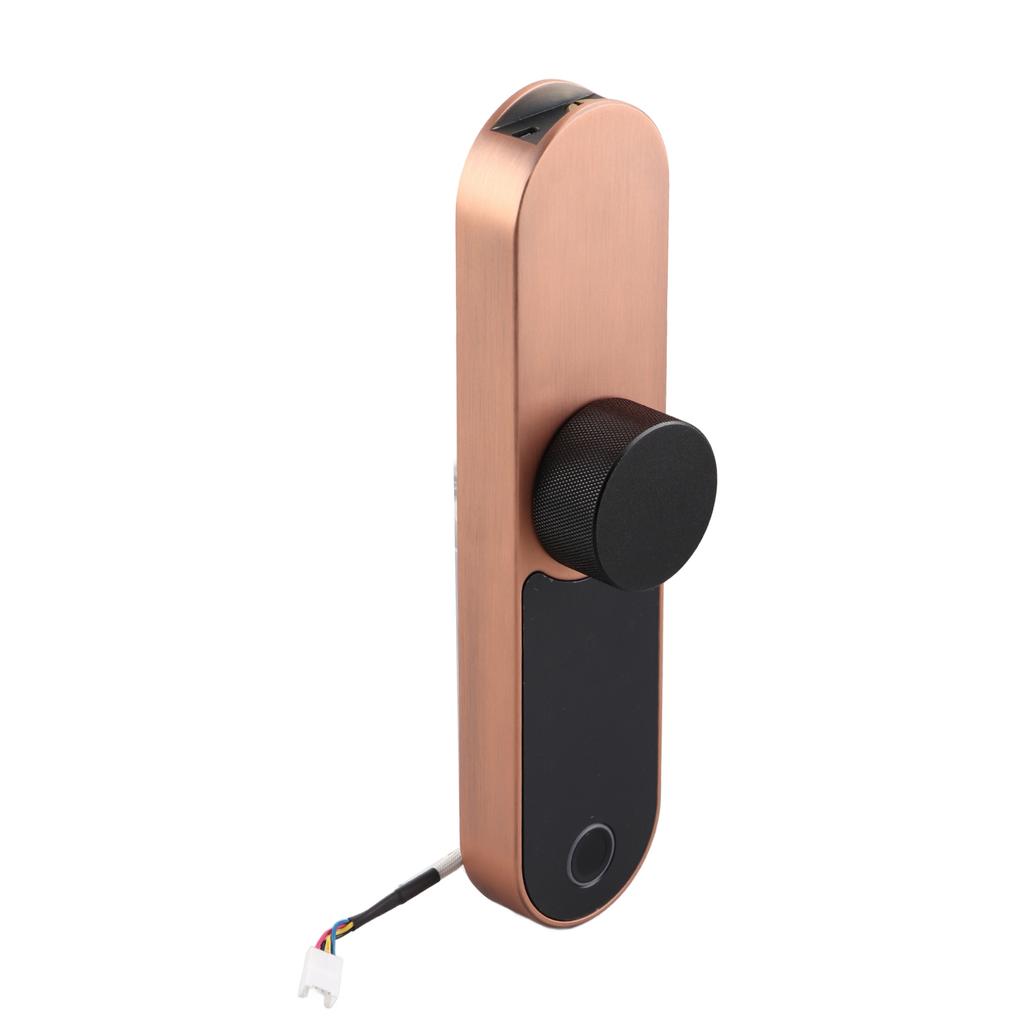 Fingerprint Password Lock Bluetooth APP Control Card Unlock for Office Hotel Apartment Door
