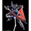 HG Black Knight Squadron Dra and Set 1/144 Liderard's, Daniel's Ryu's