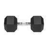 Cast Iron Rubber-Coated Dumbbell Hex 22.5Kg Rebel Hexagonal