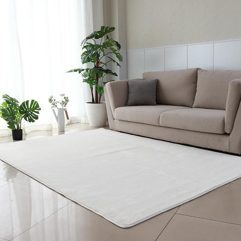 Ultra-Soft Water-Washable Shaggy Carpet for Living Room, Bedroom & Entrance