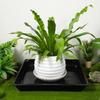 2Pcs High Quality PP Plant Saucer Square Flower Pot Tray Leak Proof Drainage Tray for Indoor Outdoor Plant Care