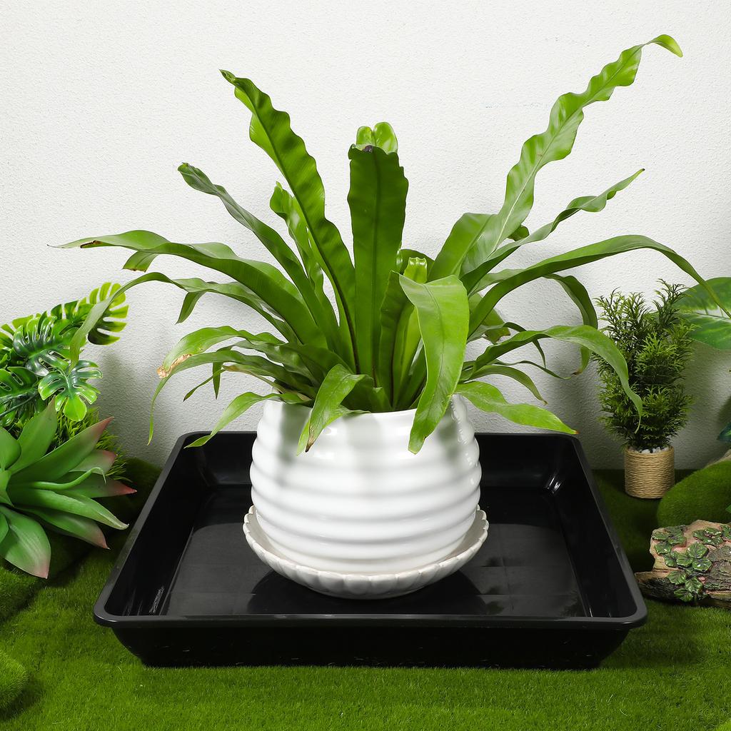 2Pcs High Quality PP Plant Saucer Square Flower Pot Tray Leak Proof Drainage Tray for Indoor Outdoor Plant Care