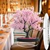 Bonsai în stil boem cu flori de cireș, floare de cireș roz, decorațiune pentru birou, cadou perfect de Ziua Îndrăgostiților, 2D