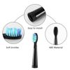 5 stücke Elektrische Ersatzbürstenköpfe Schallzahnbürste Hygiene Care 899 Set Köpfe für Seago SG910 SG507 SG958 SG515 SG949 SG575