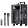 Newmine A8 Portable Bluetooth Trolley Speaker (CN Version)