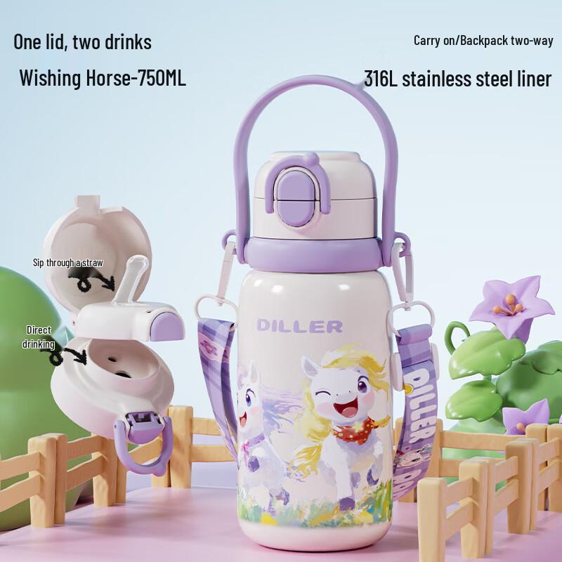 Dilebaier 316 Stainless Steel Insulated Water Bottle