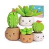 Häkelset für Anfänger - Häkel-Starterset Häkeln lernen Sets für Erwachsene und Kinder, DIY Strickzubehör, 4er-Pack Pflanzenfamilie