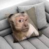 Monkey Funny Tape Throw Pillow Case For 30X30Cm 40X40Cm 45X45Cm 50X50Cm 55X55Cm Square Sofa Pillowcase Shell