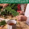 30/45Pcs Artificial Norfolk Pine Branch Christmas Red Berry Picks Faux Greenery Stem DIY Crafts Vase Garland Wreath Holiday Party Home Decoration