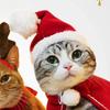 Practical-Santa Christmas Hat Halloween Pet Costume For Dog For Cat Puppy Scarf Gift New Year Winter Supply