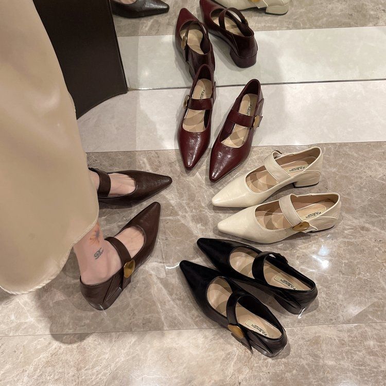Pointed head shallow mouth single shoes women's middle heel 2025 new spring and autumn French temperament thick heel Mary Jane shoes retro small le