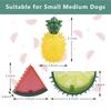 Pet Freezable Cooling Chew Toy Dog Cat Toy Summer Pineapple Lemon Watermelon Design Durable Bite-Resistant Dog Ice Frozen Toys