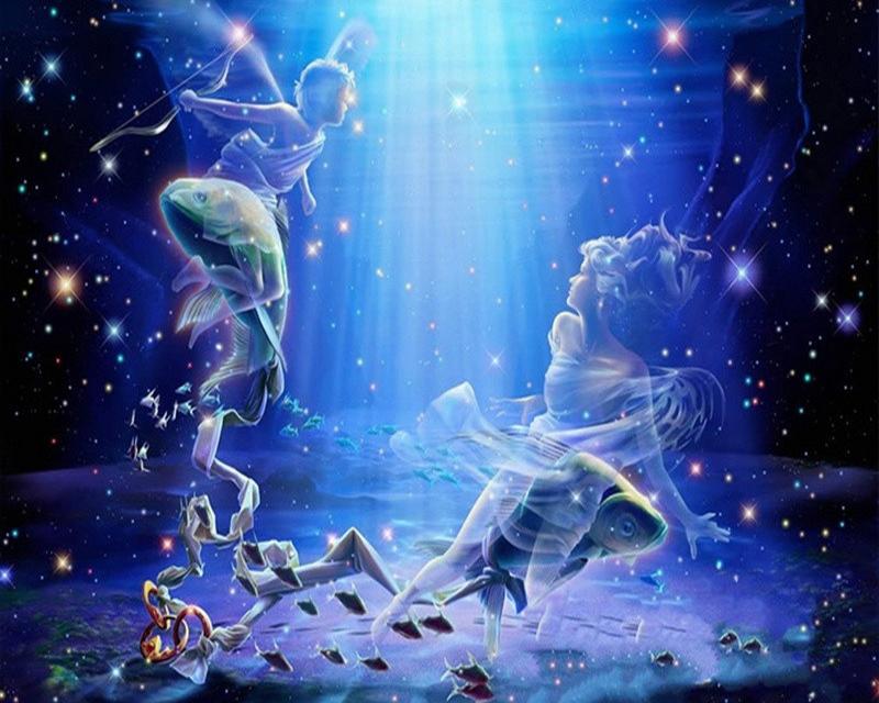 5D Diamond Embroidery Elves and Angels Picture Of Rhinestone Full Square Diamond Painting Animal Diamond Mosaic Handicraft Wall Art