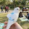 Breathable Bird Flight Suit Escape Proof Bird Training Gear Parrot Flying Harness  Bird Walking