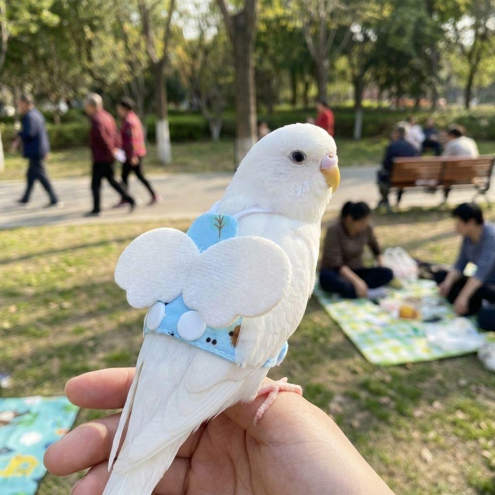 Breathable Bird Flight Suit Escape Proof Bird Training Gear Parrot Flying Harness  Bird Walking