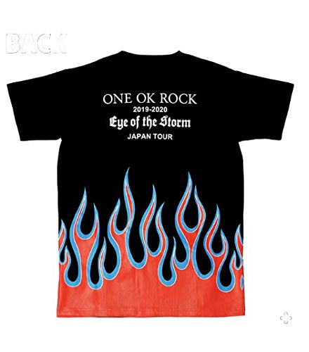 ONE OK ROCK 2019-2020 "Eye of the Storm" JAPAN Tour Official Merchandise T-Shirt - Size F (Medium)