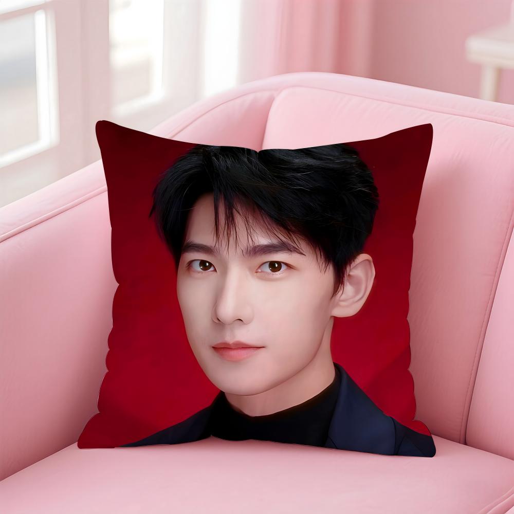 actor handsome YYang Yang Cushion Cover Pillow Case Soft Skin Friendly Fabric  Concealed Zipper