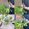 Broccoli Green Charming Plush Keyring With Colorful Chick Design For Kids