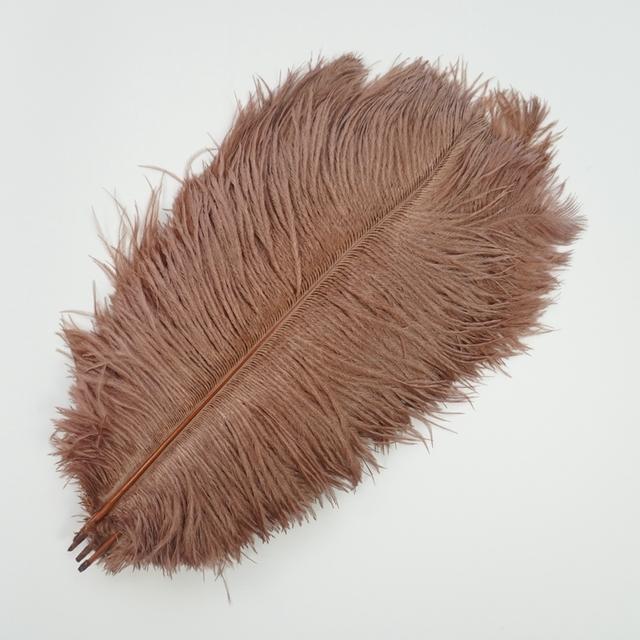 10Pcs/Lot New Colored Ostrich Feathers for Crafts White Black Feather Decor Table Centerpieces Jewelry Handicrafts Decoration