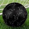 1pc Whimsy Size 5 Soccer Ball Professional Match Training Football Indoor &Outdoor Sports Ball Lightweight Durable C6549